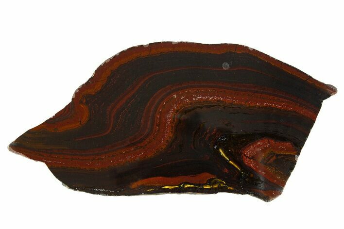 Polished Tiger Iron Stromatolite Slice - Billion Years #314325